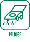 pelouse