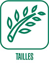 tailles