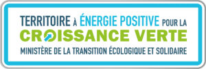 logo TEPCV