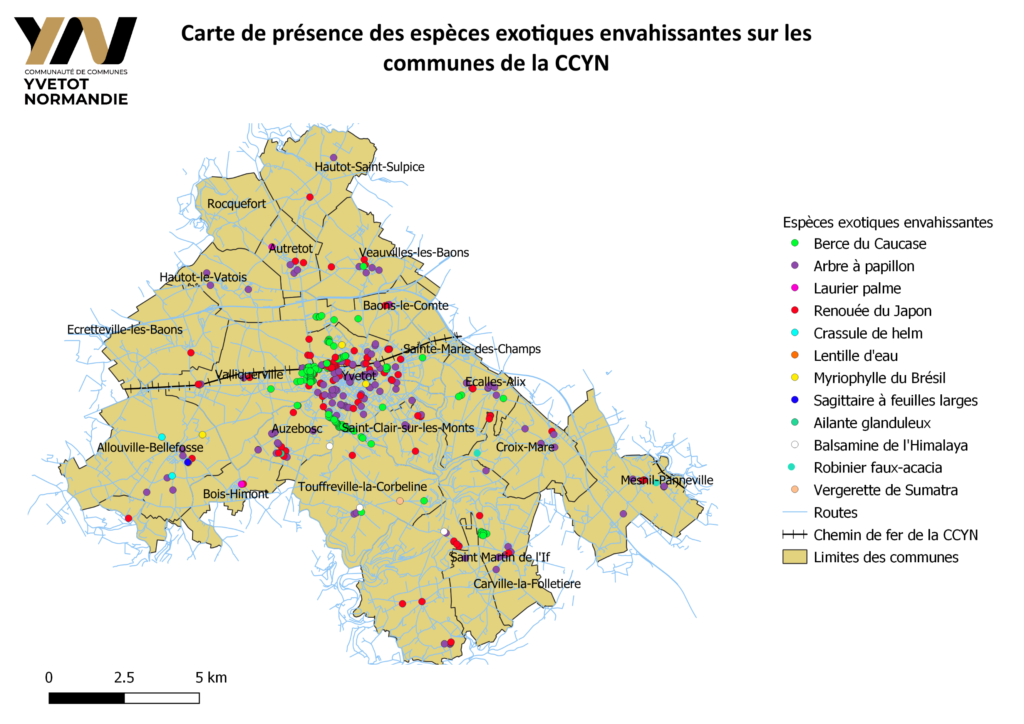 Carte CCYN