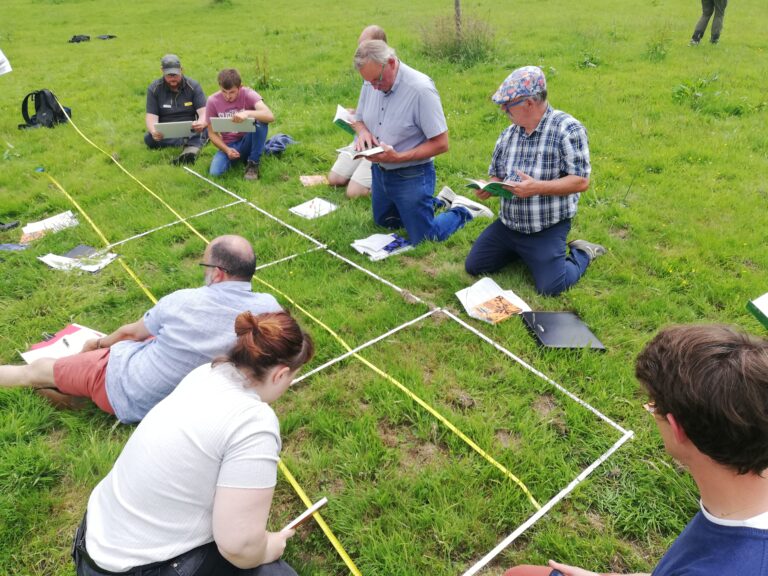 Une formation pour inventorier la faune et la flore des espaces publics